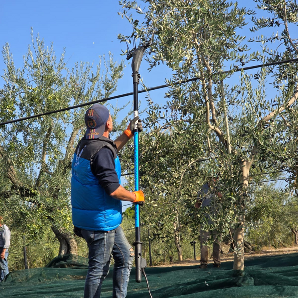 Abbacchiatore FALCO® 34V 3.5 metri - GARDENMAC®