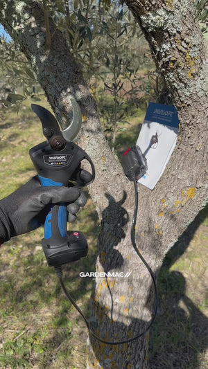 Video 3 trigger image