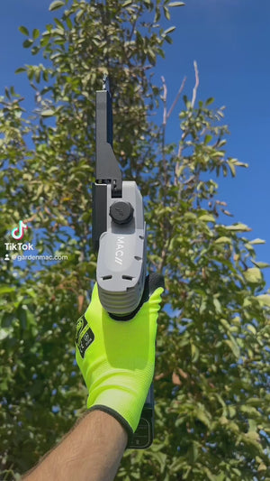 Video 2 trigger image