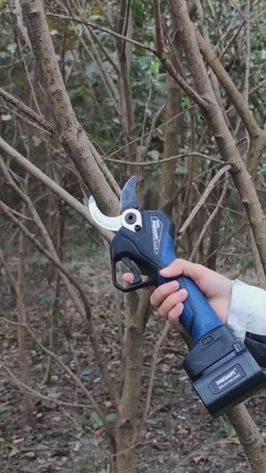 Video 3 trigger image