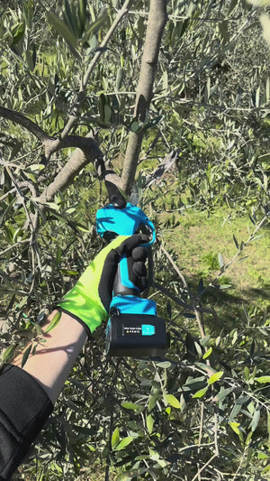 Video 2 trigger image