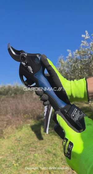 Video 2 trigger image
