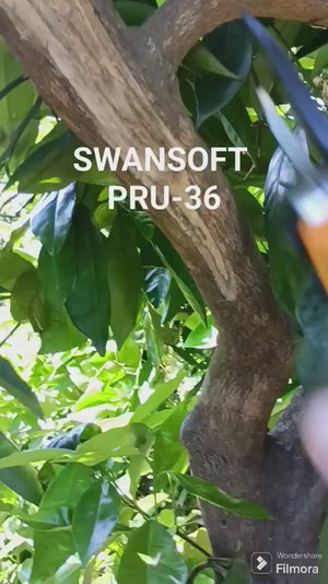 Video 2 trigger image