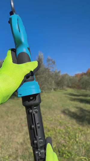 Video 3 trigger image