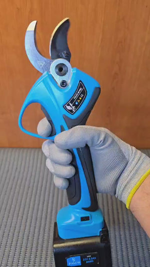 Video 1 trigger image