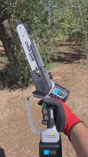 Video 1 trigger image