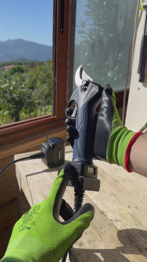 Video 3 trigger image