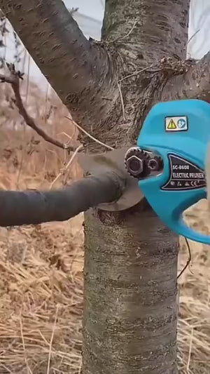 Video 2 trigger image