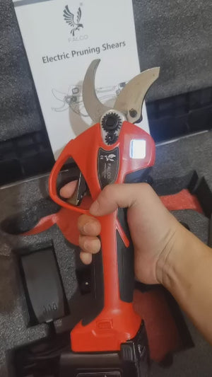 Video 1 trigger image