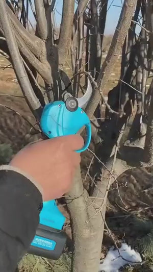 Video 3 trigger image