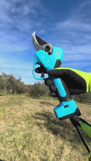 Video 1 trigger image