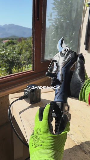 Video 4 trigger image