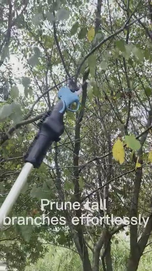 Video 4 trigger image