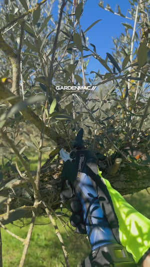 Video 1 trigger image
