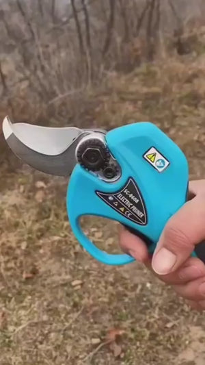 Video 1 trigger image