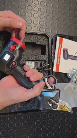 Video 1 trigger image